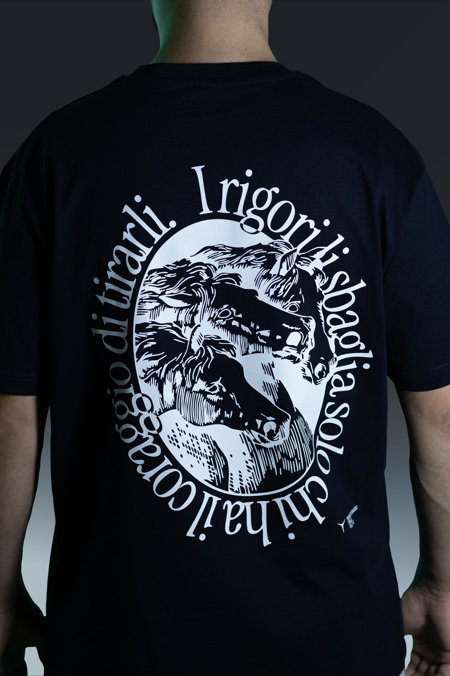 Roberto Baggio - Italia 1993